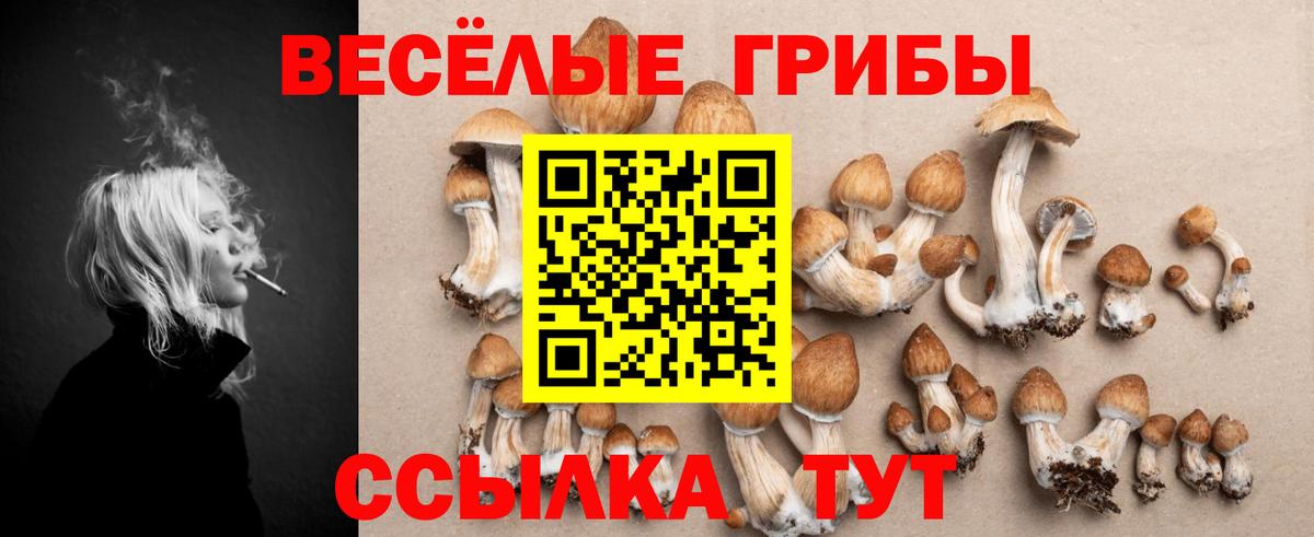 Белгород  где купить наркоту  Вход с VPN  Галлюциногенные грибы Cubensis  Галлюциногенные грибы мицелий 