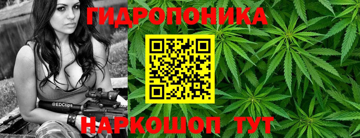 Канабис гибрид  Вход с VPN  Белгород  Бошки марихуана планчик  Шишки марихуана семена 